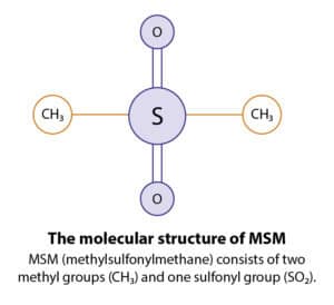 The molecular structure of MSM