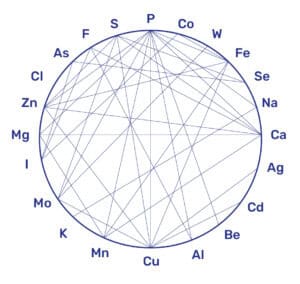 Circle diagram showing the interactions between minerals and trace elements, including magnesium, calcium, zinc, iron, selenium and potassium. The lines show how these substances influence each other's absorption, metabolism or excretion.
