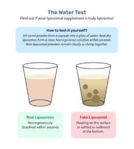 The water test: discover if your liposomal supplement is truly liposomal. Illustration of two glasses of water. Left: real liposomes, clear and homogeneously dissolved within seconds. Right: fake liposomal, floating on the surface or sediment at the bottom. Test it yourself by stirring powder from a capsule into water.